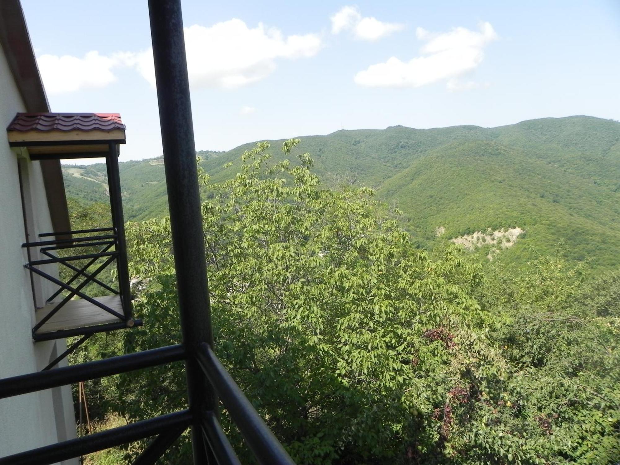 Galavnis Kari Hotel Sighnaghi Εξωτερικό φωτογραφία