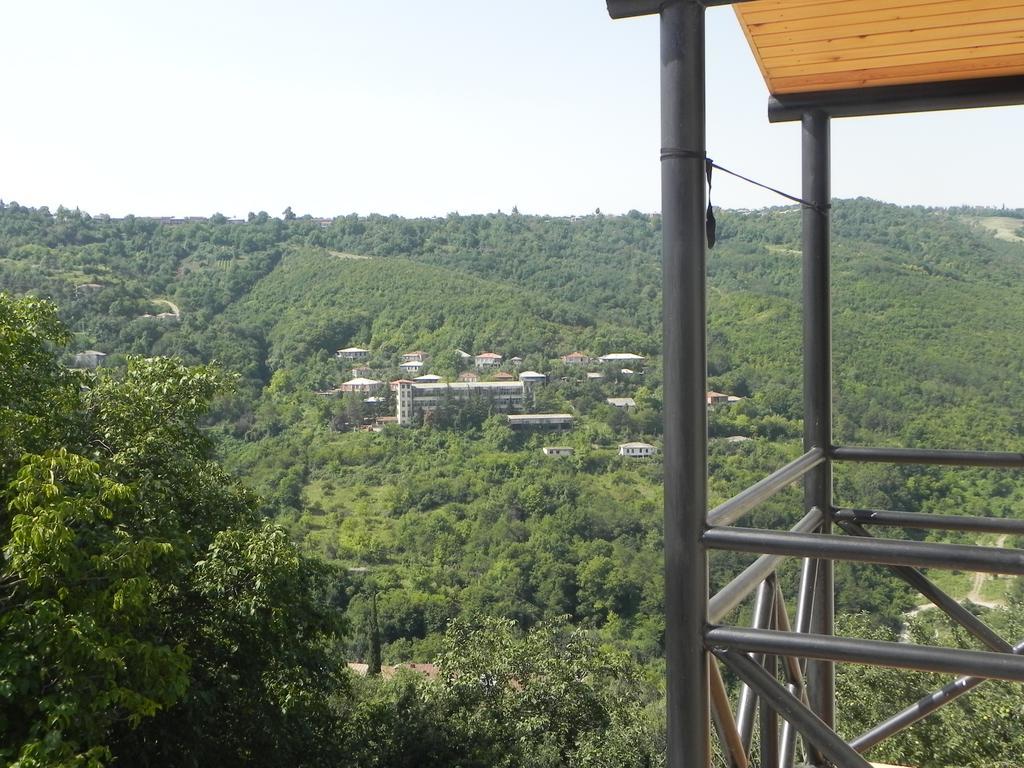 Galavnis Kari Hotel Sighnaghi Δωμάτιο φωτογραφία